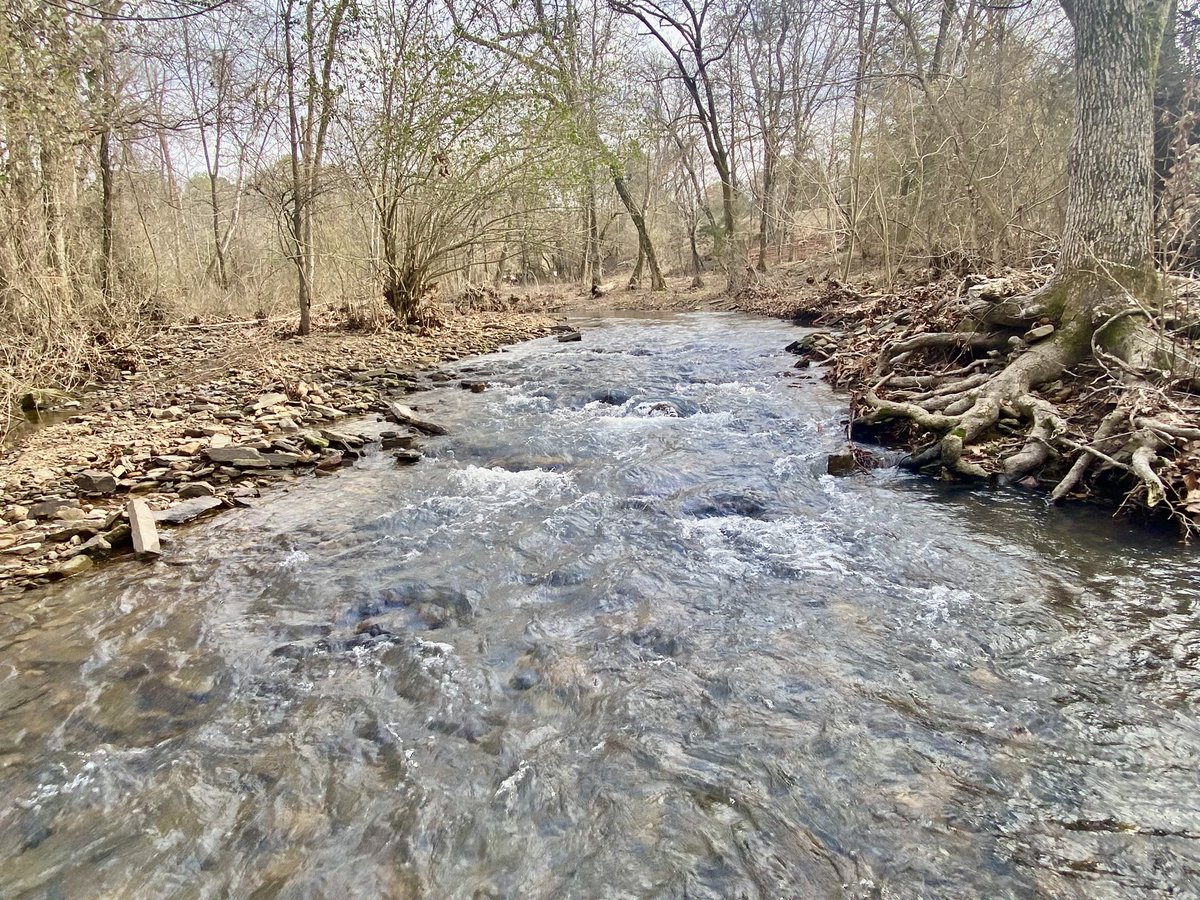 FisHecke's tweet photo. Great afternoon taking my Limnology class out to Dare Creek to sample fish and aquatic macroinvertebrates. Pictured
Is a Sunburst Darter. https://t.co/mZAGrqjulc