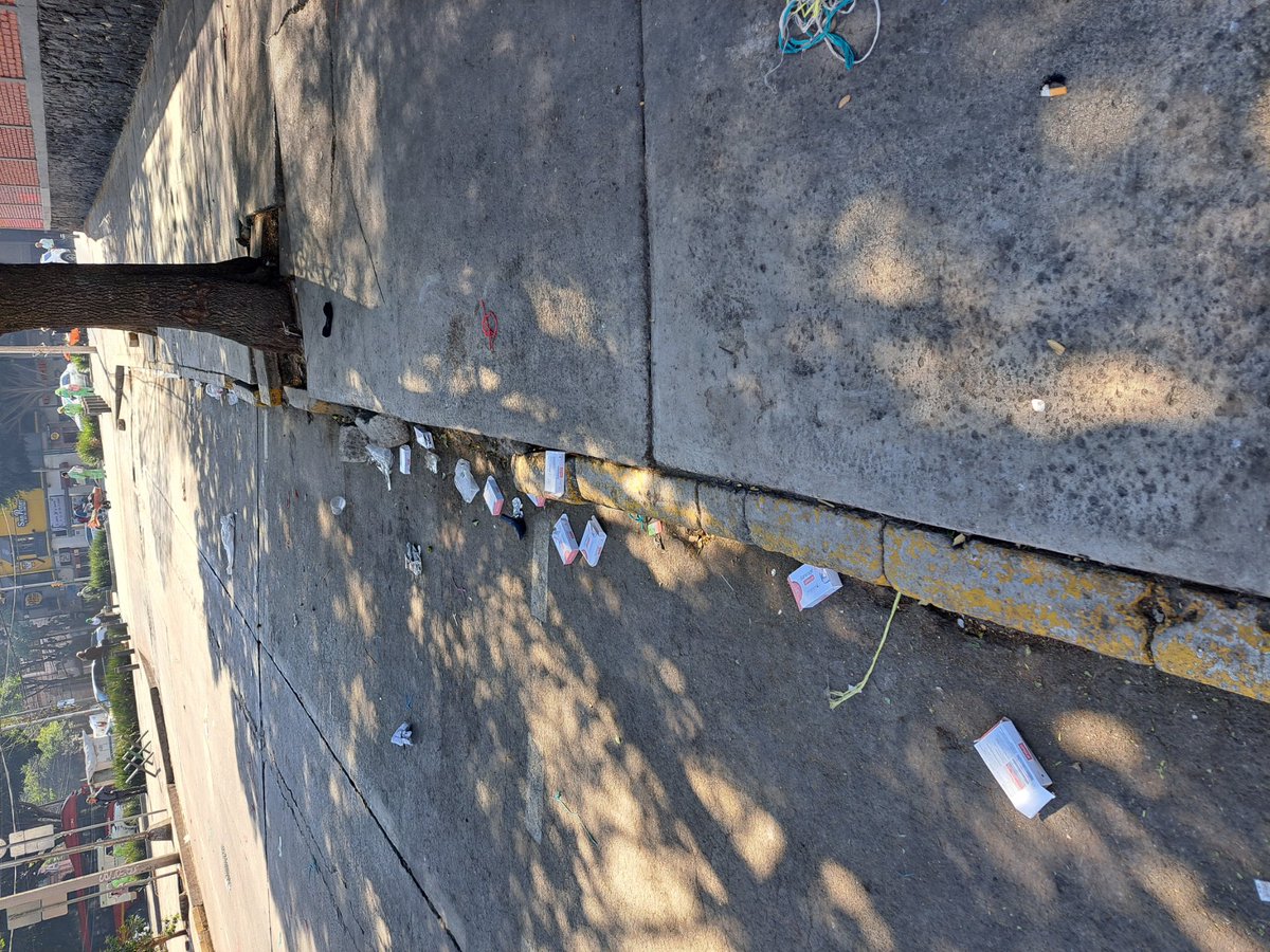 CopacoRoma1's tweet photo. @SedecoCDMX @FadlalaAkabani el Tianguis en la calle del ORO, no recoje la BASURA son unos PUERCOS, que culpa tenemos los vecinos de la Colonia @LaRomaDF
@IntiMunoz @martibatres https://t.co/RGoP7BSpYf