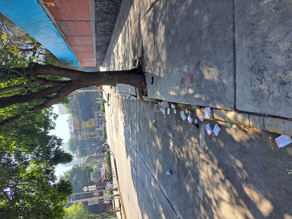 CopacoRoma1's tweet photo. @SedecoCDMX @FadlalaAkabani el Tianguis en la calle del ORO, no recoje la BASURA son unos PUERCOS, que culpa tenemos los vecinos de la Colonia @LaRomaDF
@IntiMunoz @martibatres https://t.co/RGoP7BSpYf