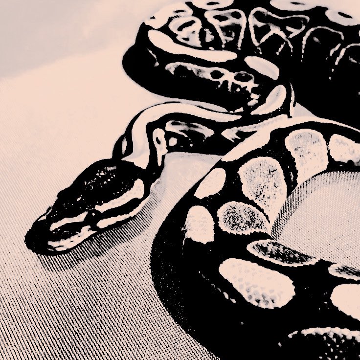 ᅟᅟ
ᅟ
            𝙻𝙾𝙾𝙺 𝚆𝙷𝙰𝚃 𝖄𝐎𝐔 𝐌𝐀𝐃𝐄 𝕸𝐄 𝐃𝐎, 
                            𝙳𝙴𝙰𝚁 𝚃𝙰𝚈𝙻𝙾𝚁.
ᅟᅟ
ᅟ