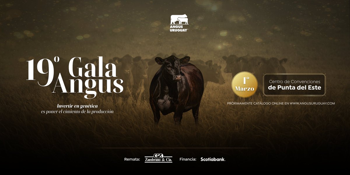 El primero de marzo llega la 19ª edición de Gala Angus, en Punta del Este.