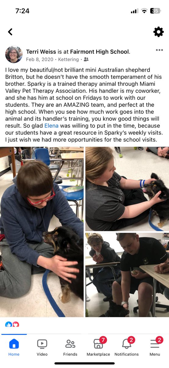 MrsDupree337's tweet photo. Today we said goodbye to Sparky. He was 13 years old and led a life full of love surrounded by family and friends (human, canine and feline). He worked and retired as a therapy dog through MVPTA. He was a good dog ♥️ https://t.co/bpC9UEiD01