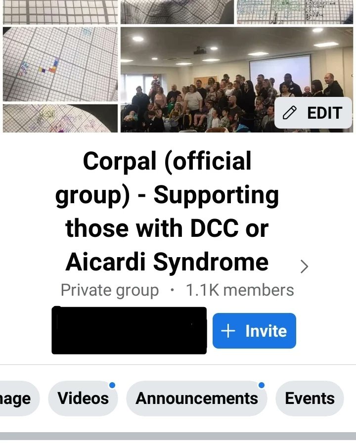 Officialcorpal tweet media