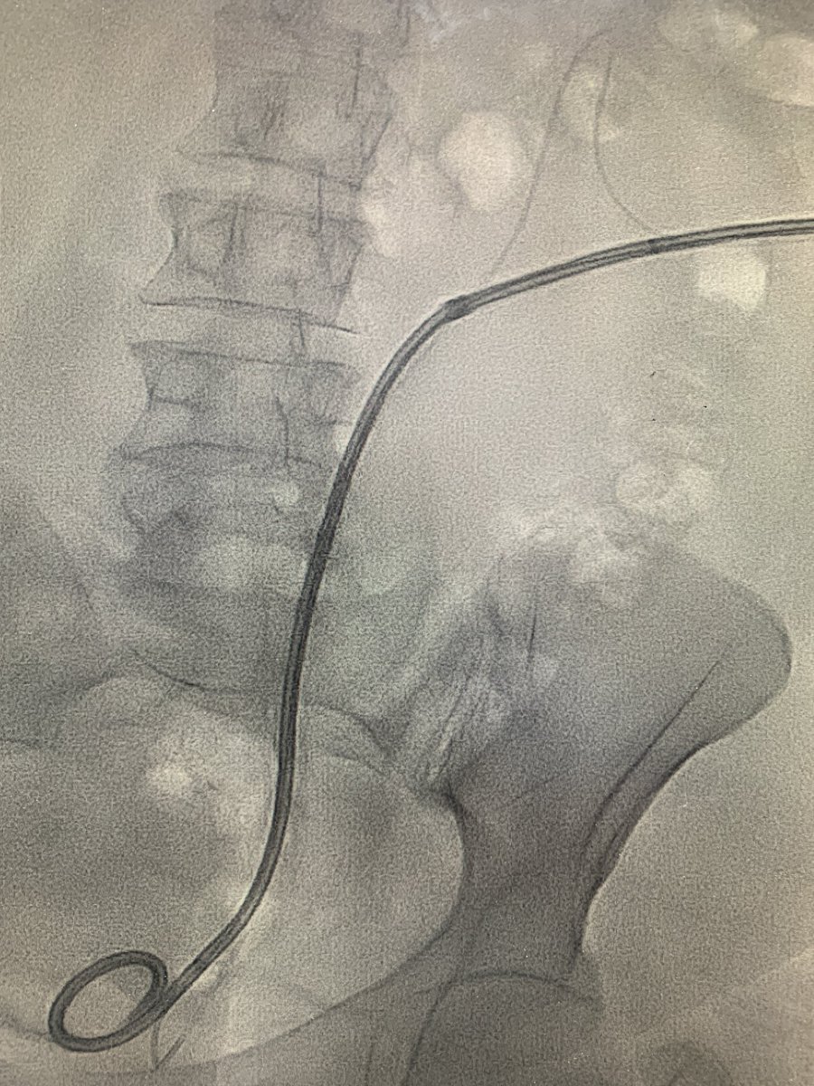 Naif Alsaikhan | د. نايف بن حمد الصيخان tweet media