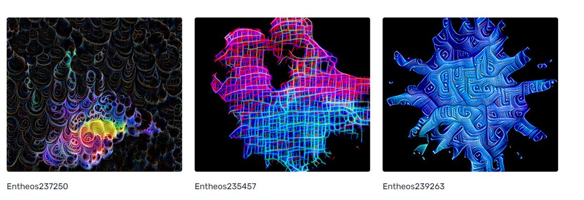 Lady Kane tweet media