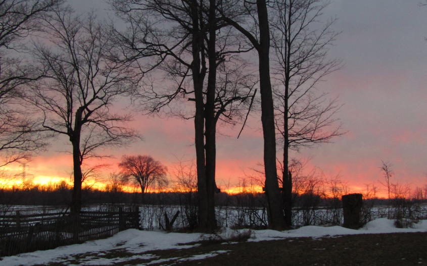 ScottReaBrooks1's tweet photo. A pretty end to the day. This sunset only lasted a minute before it was gone. Near #ActonON #HaltonHills https://t.co/Qqn4jUFcla