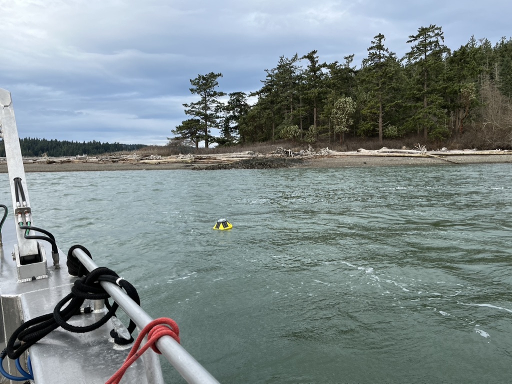 Shannon Point Marine Center tweet media