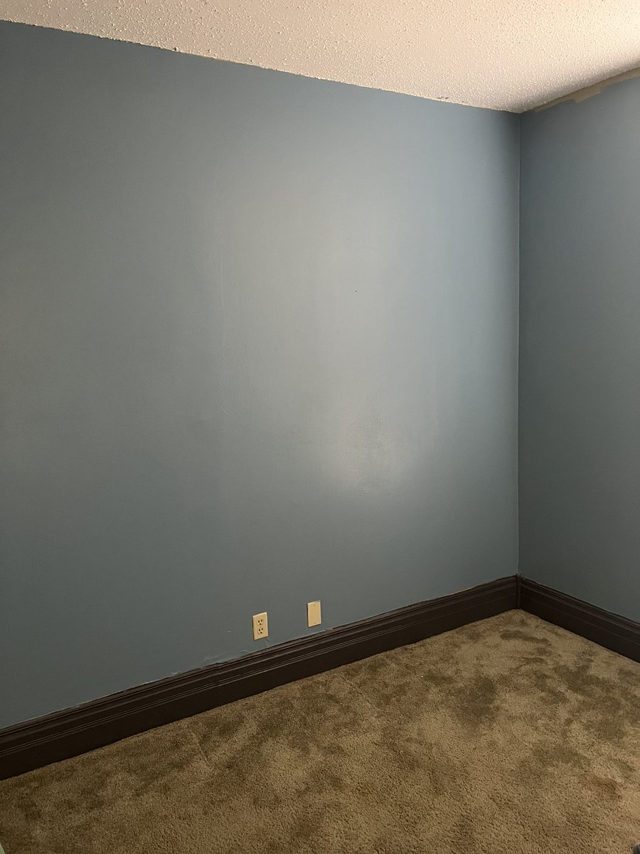 Xezbeth66 tweet media