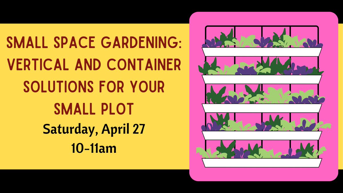 No space? No problem! A bit of sun and a well- cared for plant can grow successfully in small spaces. Learn about the benefits of vertical gardening and what can and cannot be successfully grown in containers.