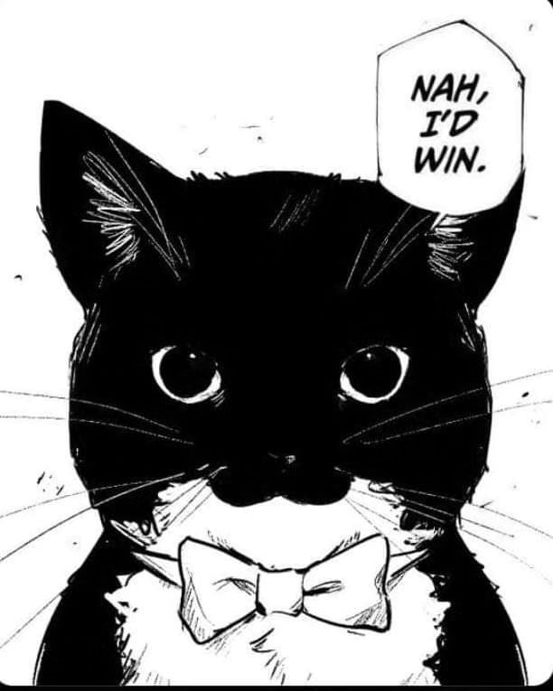 Punch Cat (@punchingcat) on Twitter photo 