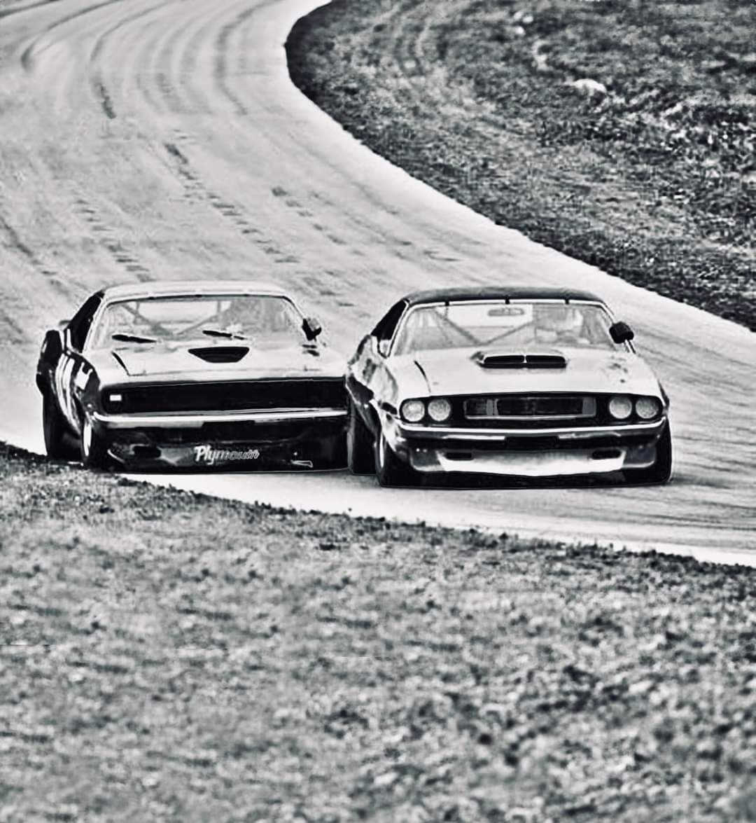 Swede Savage #42 All American Racers Plymouth Barracuda encouraging Sam Posey #77 Autodynamics Dodge Challenger, Elkhart Lake, Wl July 19, 1970.

#DrissiRacing #barracuda #transamracing #scca #svra #historicta #ford #plymouth #dodge #TA #roadamerica