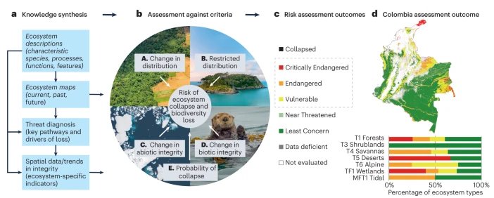 New paper: roles of the Red List of Ecosystems (RLE) in the Kunming-Montreal Global Biodiversity Framework @NatureEcoEvo. RLE helps implement at least 16/23 targets & monitoring Goal A but needs investment in data, people & capacity @redlisteco @IUCN_CEM rdcu.be/dx9in