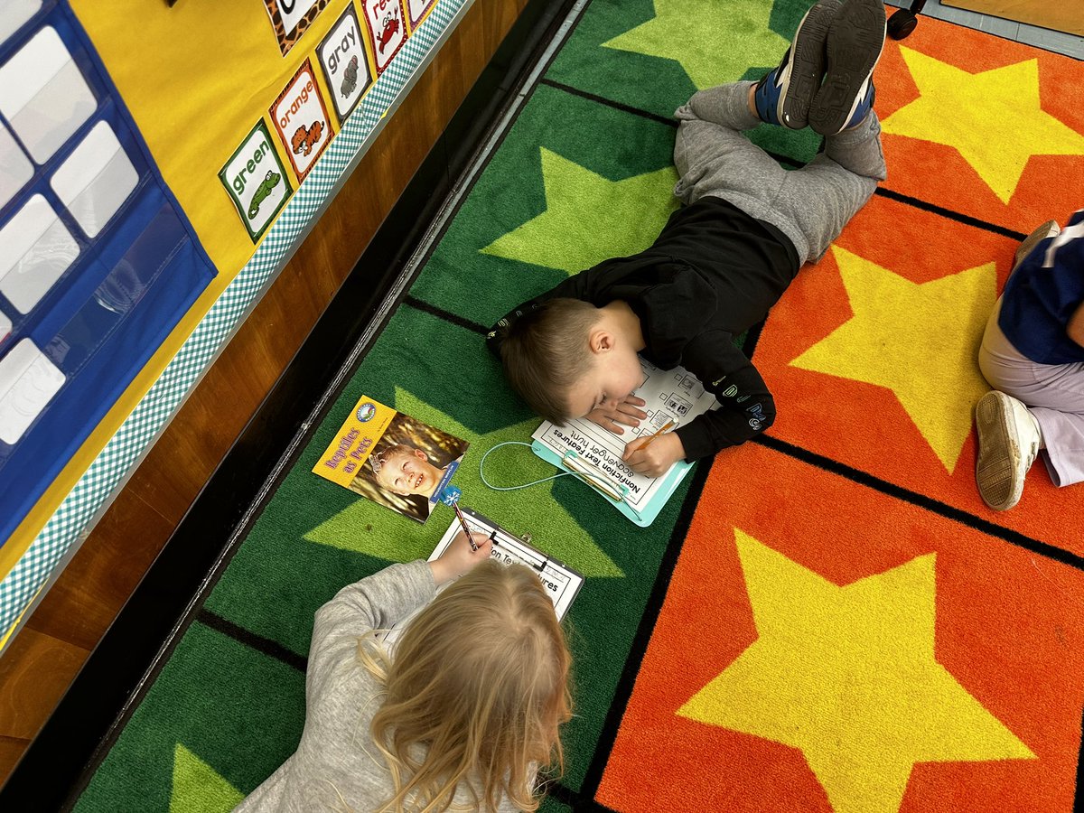MissBKinder_SS's tweet photo. We did a Non Fiction Text Features Scavenger Hunt today! 👀 They loved it! Thanks @DianaMontalto1  for the idea! https://t.co/ikxnWOwQDF