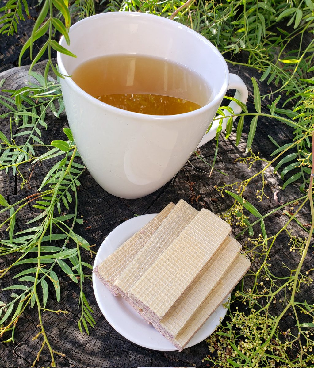 Taking a #SnackBreak with #WhiteTea & #Ube #Wafers!

#tea #teatime #cookies #snacks #cozy #foodies #foodporn #foodphotography