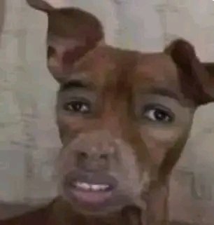 AustineRay70980's tweet photo. @mopedi_thwiiii @King_Yellow11 This giy🤣🤣🤣🫴 https://t.co/Uj95ePcbiS