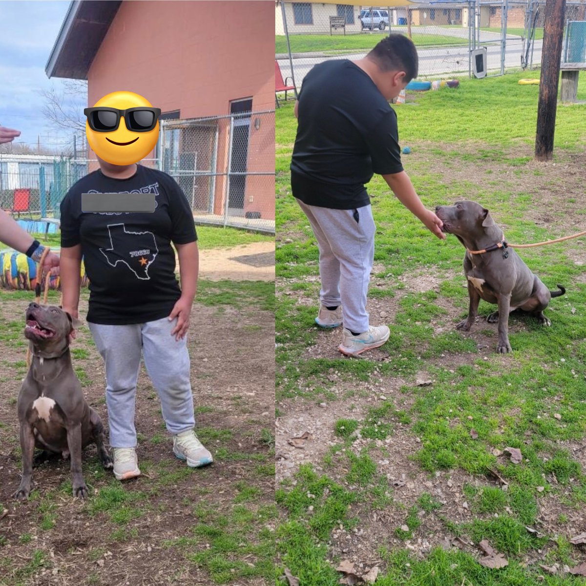 Lauren Guess tweet media