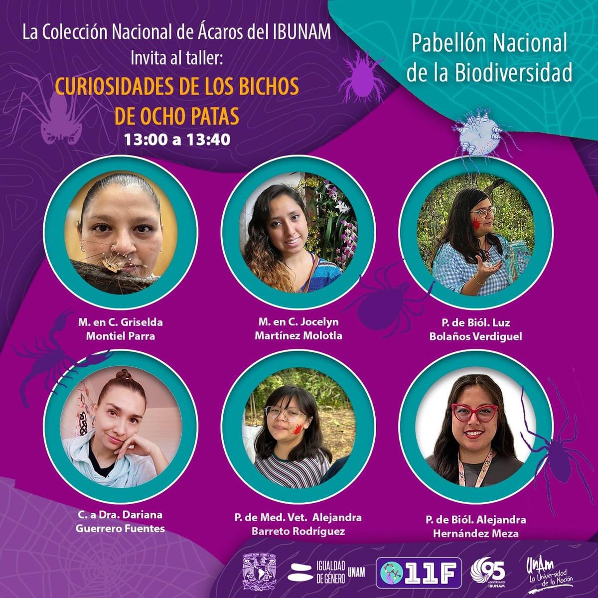 aracnidosibunam's tweet photo. Las científicas del IBUNAM, estarán en "Acción" para platicar de sus experiencias y también para darte a conocer las curiosidades sobre los bichos de 8 patas 
📆 El domingo 11 de febrero
📌 En el Pabellón Nacional de la Biodiversidad
 ⏱ De 13:00 a 13:40
¡La entrada es libre! https://t.co/V7gQf2L3M4