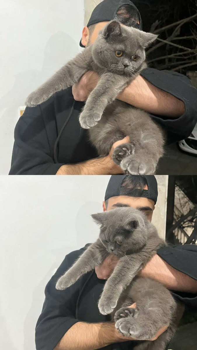 ᴀᴍɪʀ tweet media