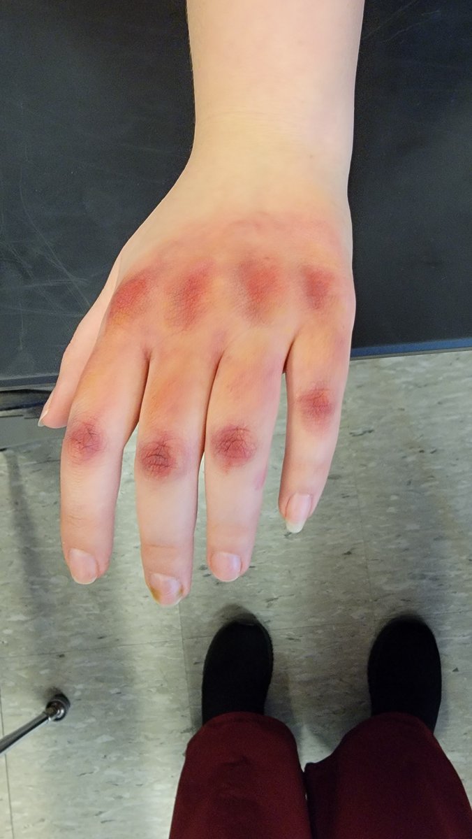 Mrs. Calkins tweet media