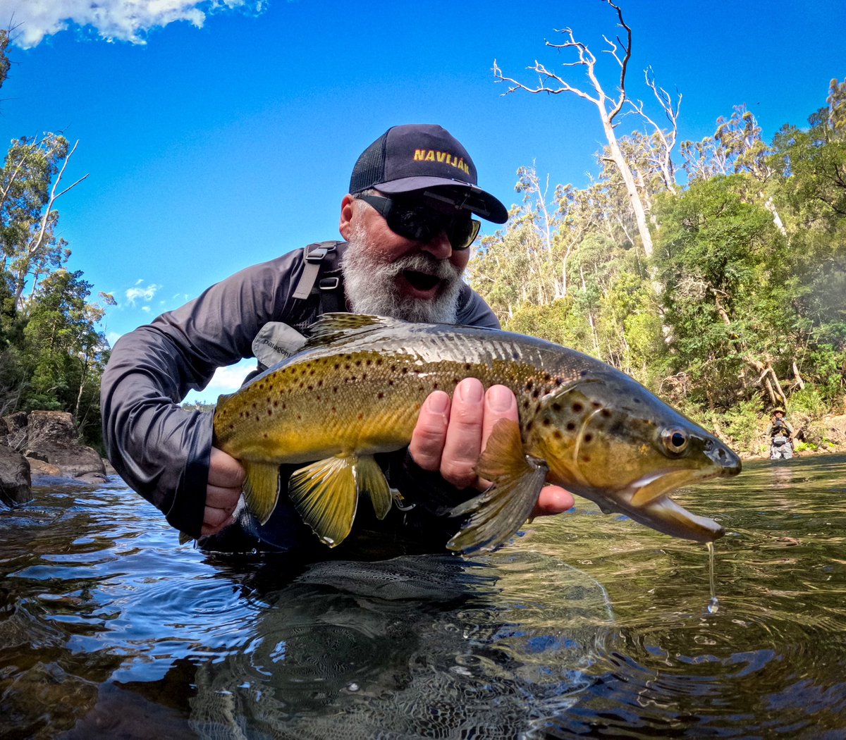 Tasmánie ✅
Tasmánský čert ✅
Quoll ✅
Wombat ✅
Wallaby ✅
Pstruh ✅

Nádherný místo, skvělí lidi.

#tasmania
#flyfishingtasmania