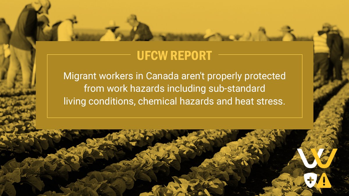 WHSCtraining's tweet photo. .@UFCWCanada is calling for urgent reforms to Canada’s temporary foreign worker program: https://t.co/12RE1ZGmEn
#migrantsworkers #migrantscontribute https://t.co/rtvu3tADZ7