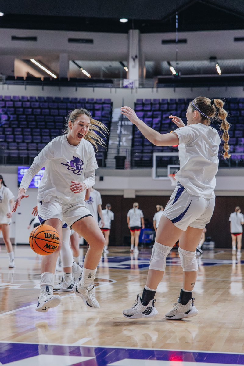 ACUWBB's tweet photo. The Wildcats are ready to pounce on the Seatle Redhawks @ Moody‼️

#OneMore | #GoWildcats https://t.co/DthobRvfWT