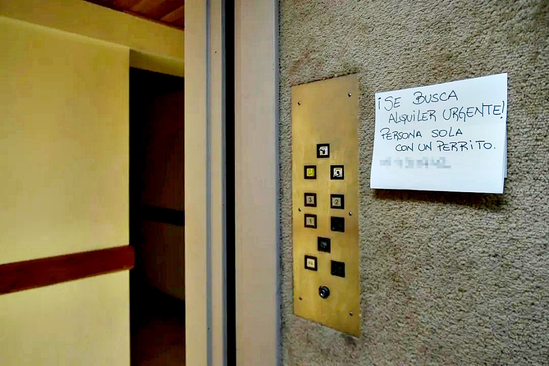 infoblancosobrenegro tweet media