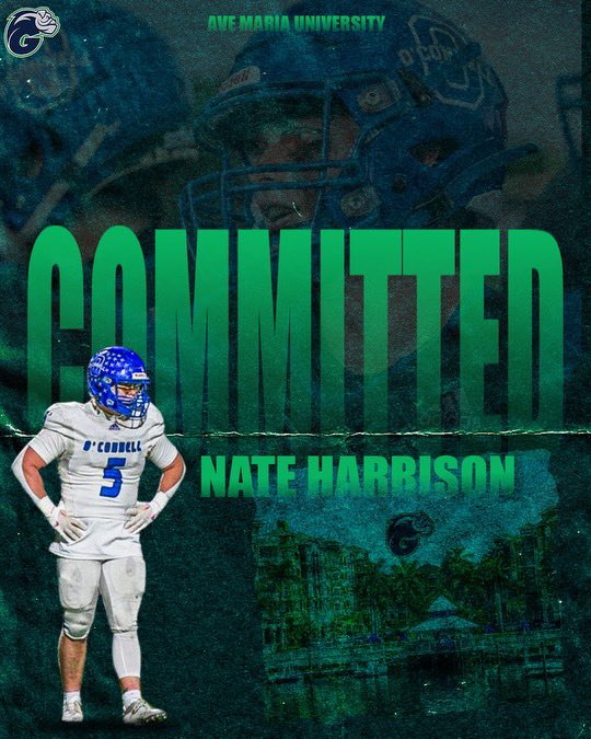 Nathan Harrison tweet media