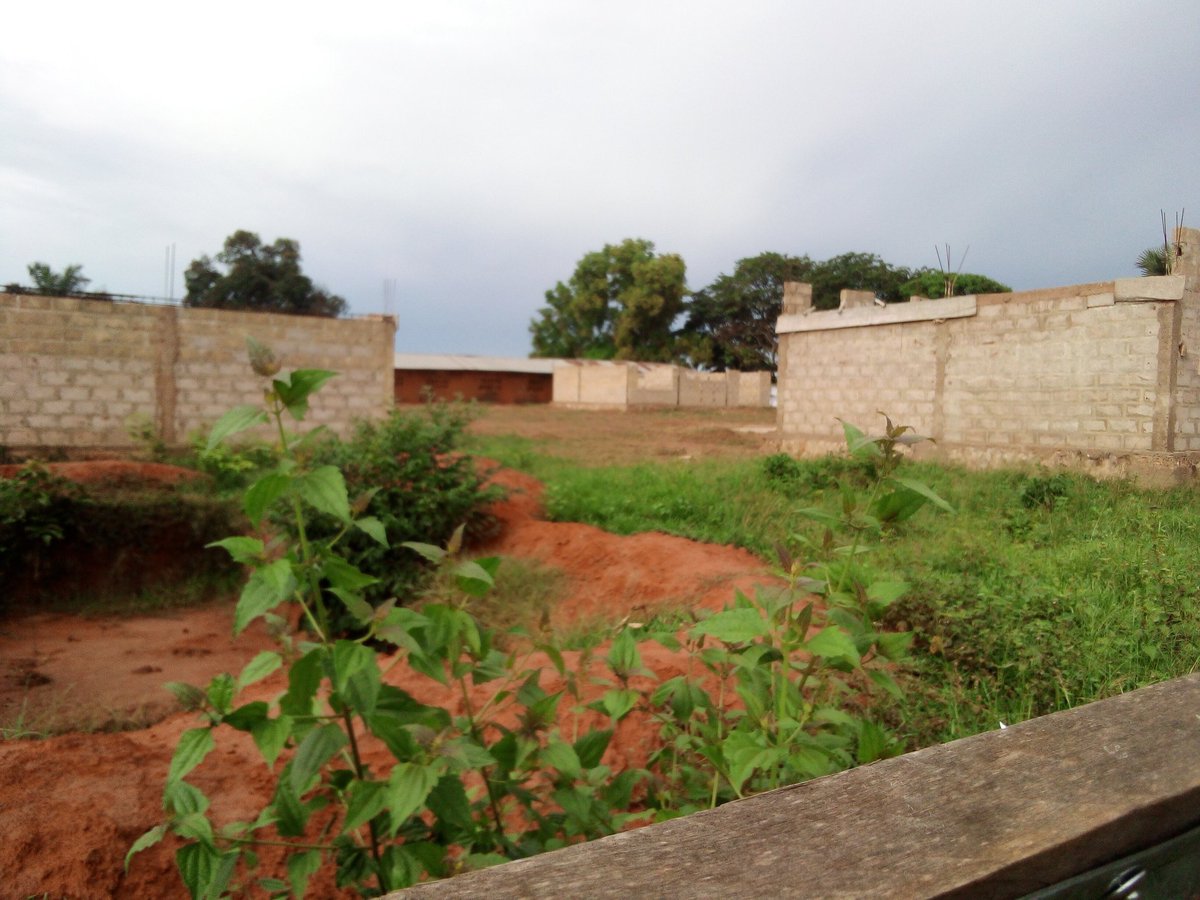 MukubaStep8008's tweet photo. Le projet de développement de 145 territoires. Un sabotage sans précédent à la vision de SEM Félix Antoine tshisekedi dans le territoire de Mushie province du Mai-ndombe. une année après l'ouverture des travaux de construction rien ne marche.
@Presidence_RDC 
@IgfRdc 
@Primature https://t.co/hPJ7yKBjsW