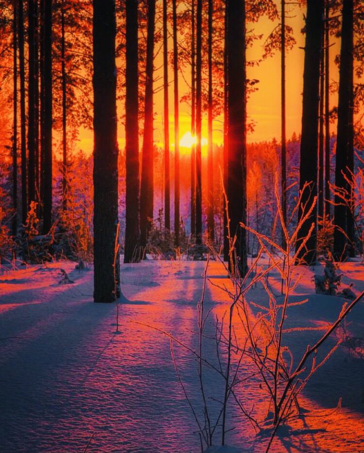 #joutseno #finland #winter #sunset #naturephoto #igworldclub #jarnohanmie_photography 🇫🇮