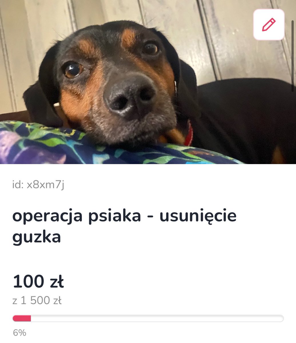 SzyCules's tweet photo. PIERWSZA STÓWKA!❤️🥺
dziękujemy każdemu który zdecydował się wpłacić na zrzutkę swoje pieniążki i każdemu który udostępnił dalej, niesamowici jesteście😍
gdyby irusia wiedziała o was, to na 10000% by was wszystkich odrazu pokochała, jeszcze raz dziękujemy❤️ https://t.co/N0K8Ho6S7N