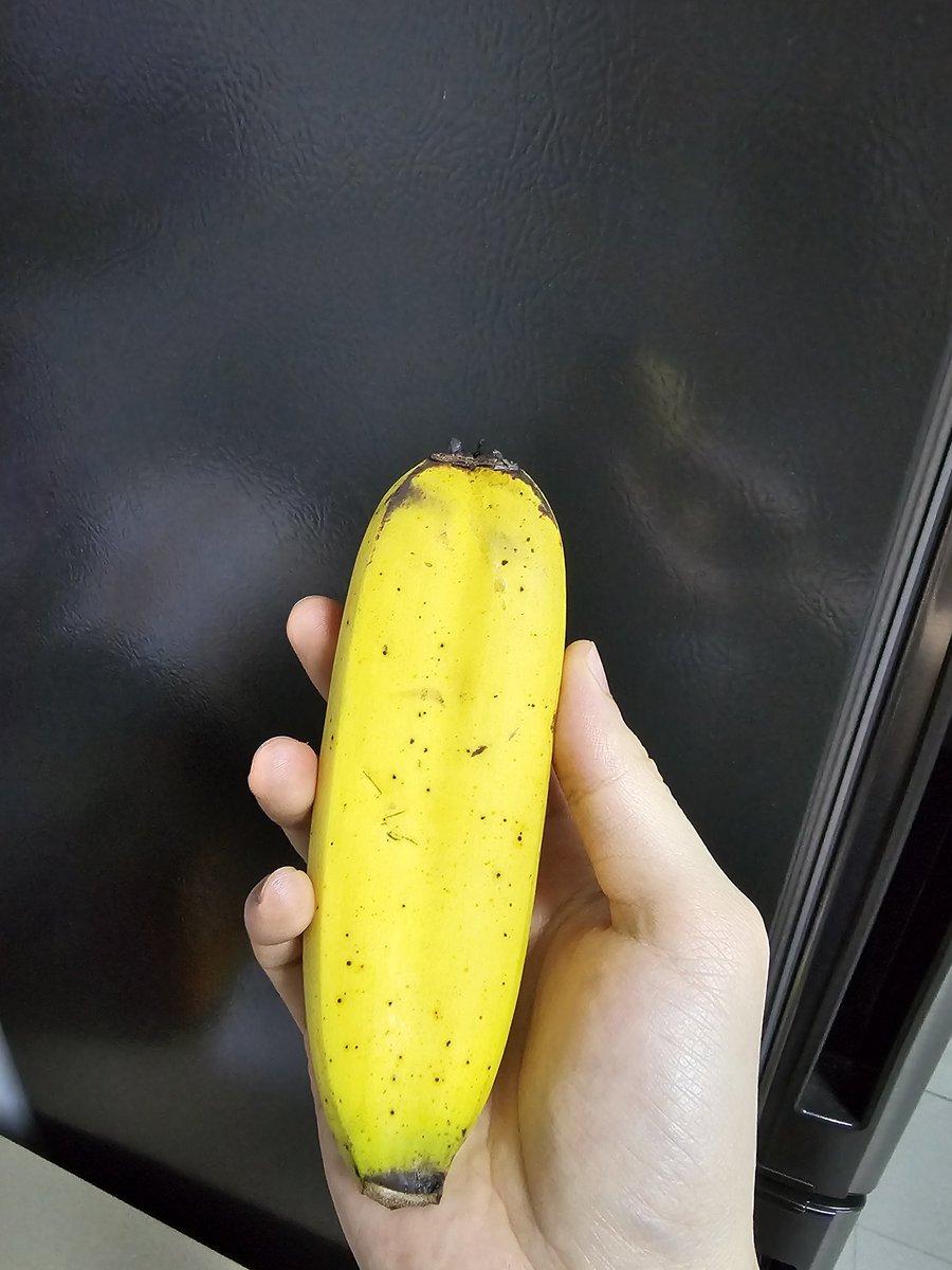 Lab_Member_009's tweet photo. Found a really weird banana at home, time to fire off a D mail. https://t.co/ZMUvB6J19s
