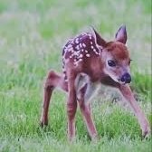 Seantoc 👨🏻‍💻 tweet media