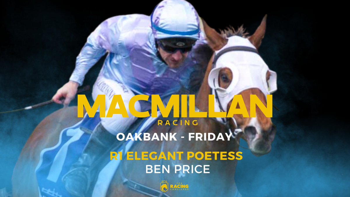 RaceMacmillan's tweet photo. ELEGEANT POETESS having her third SA start today and heads back to @OakbankRaces for a second time after hitting the line nicely there when first up https://t.co/WhU14XYdyB