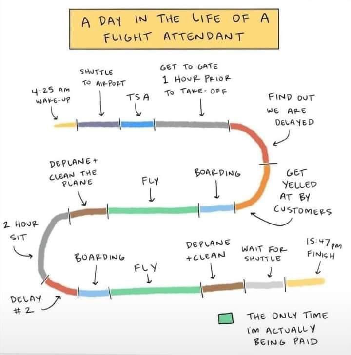 If you are a flight attendant can you confirm or deny!😳