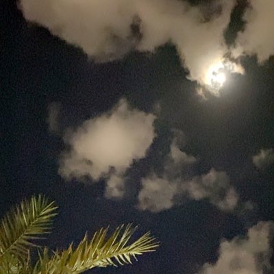 tuhguugcc's tweet photo. #NewProfilePic https://t.co/FPeNrccXpE