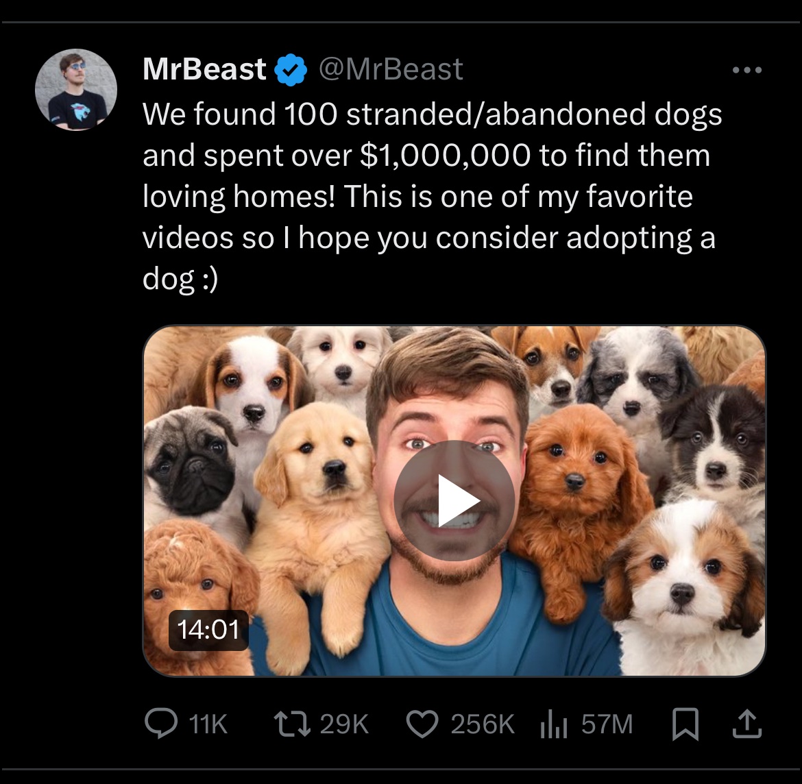 gshrma_'s tweet photo. Interesting observation: @X is showing @MrBeast video as an Ad without adding an ‘Ad’ label. 
Attached screenshots of the video, options when clicked on 3 dots, and another Ad for comparison. 
Not sure why this is. https://t.co/OGQ3TALHwY