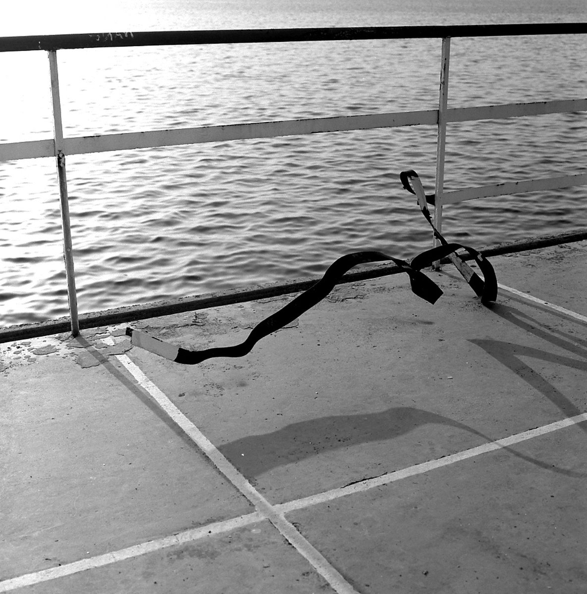 Rabotnik02 tweet media