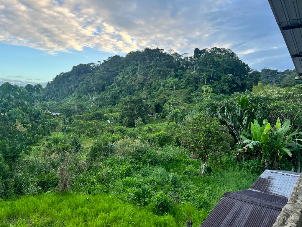 mannaproject's tweet photo. We're baaack! Say hi to the new Manna-check us out for sweet pics of the Amazon Rainforest, Kichwa, and community development 👋💅 #communitydevelopment #theamazonrainforest #communities https://t.co/O5TiyF0XrI