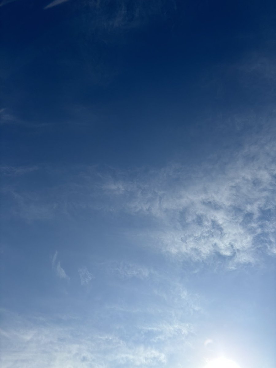 happy_spoonful's tweet photo. おはようございます☀
うっすらと雲がかかった青空です。
暗がりに潜むネコ氏を横目に、ヨガ、マインドフルネスをばっちりすることが出来ました。
少し暖かくなるといいですね。
皆さまよき１日を😊
#朝活 
#イマソラ 
#朝散歩
#ウォーキング 
#猫��いる暮らし
#猫好きさんと繋がりたい
#ダイエット https://t.co/oqS6jyu9hq