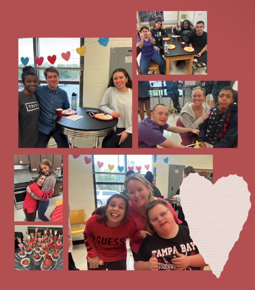 Lauren Stahl tweet media