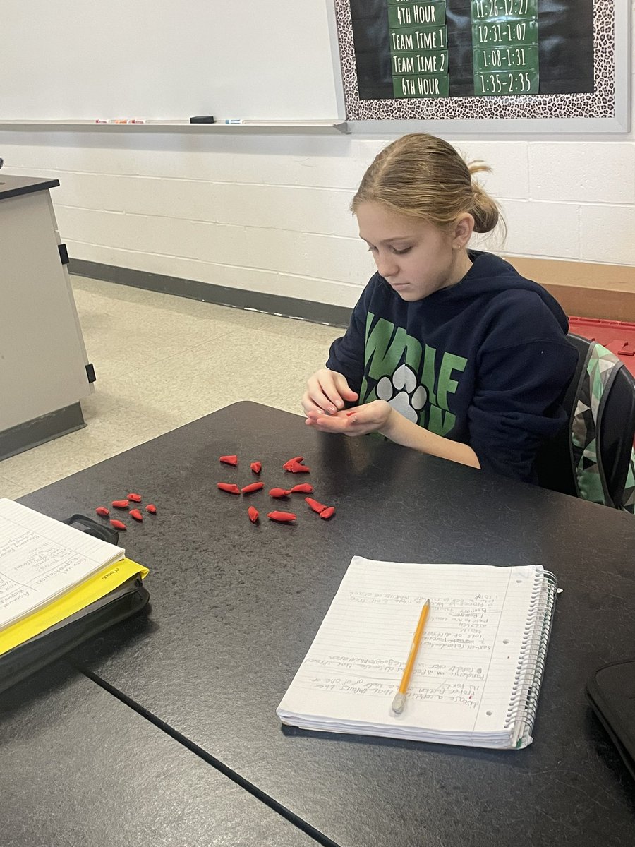MannerClass's tweet image. Making models of binary fission in action! We saw how streptococcus reproduces and practiced making our own. @WSMSwolves @wustlisp #WeAreWentzville
