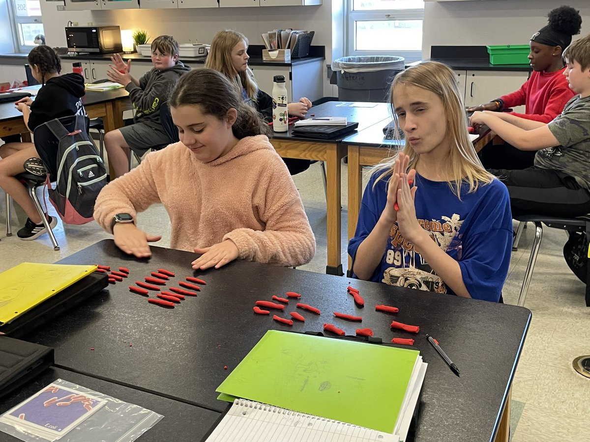 MannerClass's tweet image. Making models of binary fission in action! We saw how streptococcus reproduces and practiced making our own. @WSMSwolves @wustlisp #WeAreWentzville