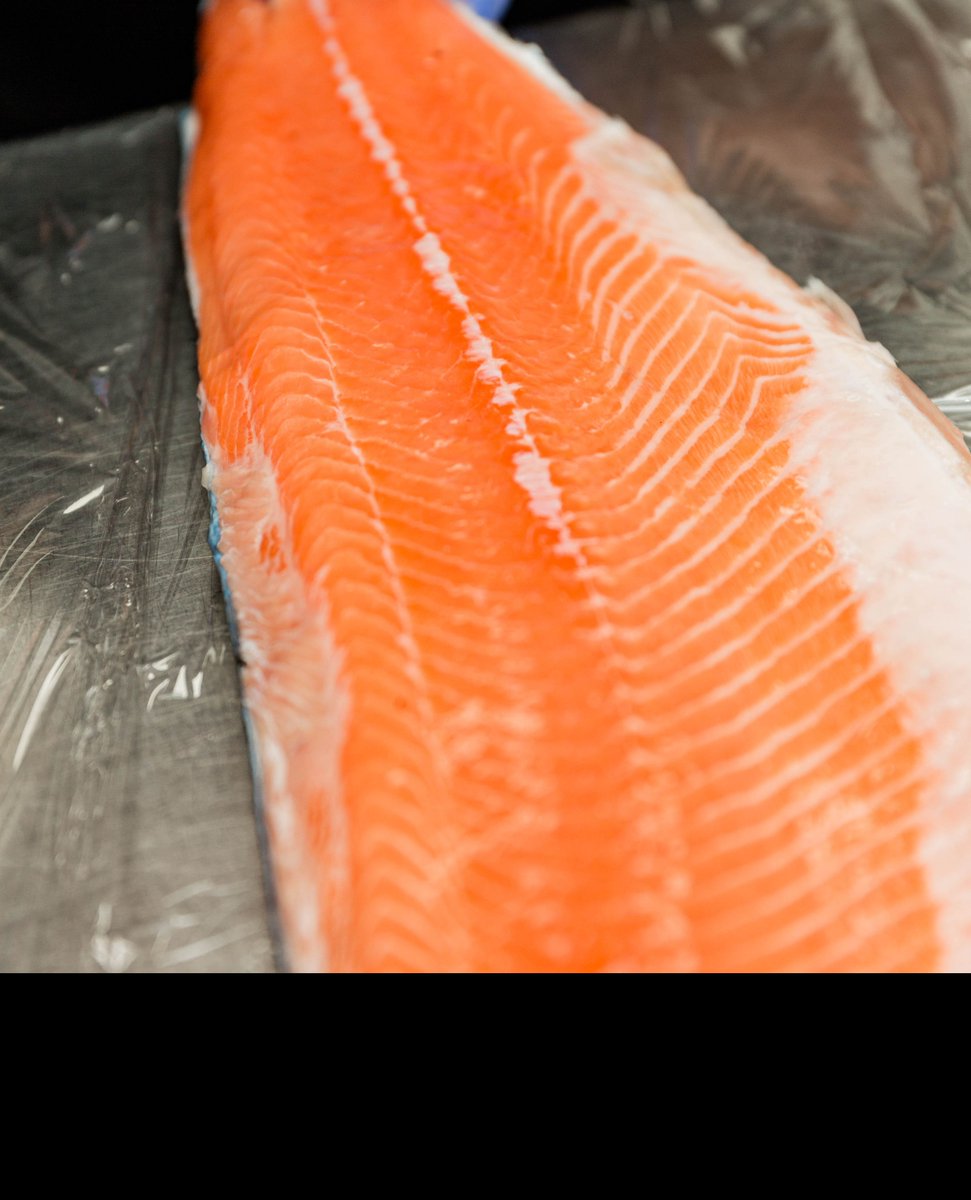 Want to know what time or day of the week our fish is the ✨freshest✨?⁠