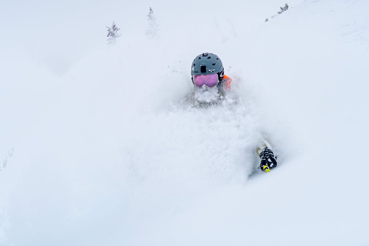 TonyKorologos's tweet photo. It was insanely deep today at @AltaSkiArea. DEEP https://t.co/oCKDvw1E7V