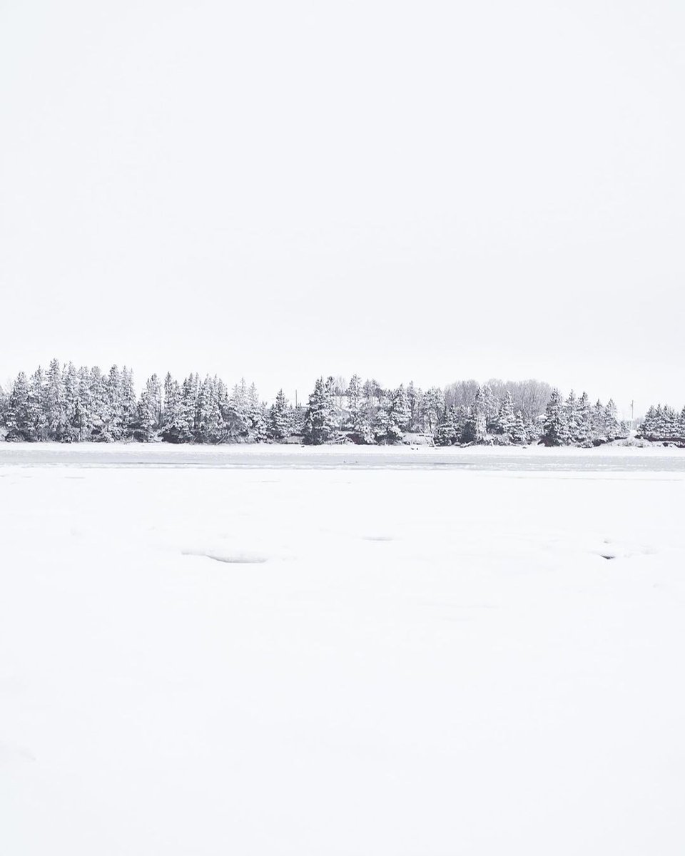 Winter is putting on quite the show this year! ❄️ ☃️ 

📷 Visuals of Dev