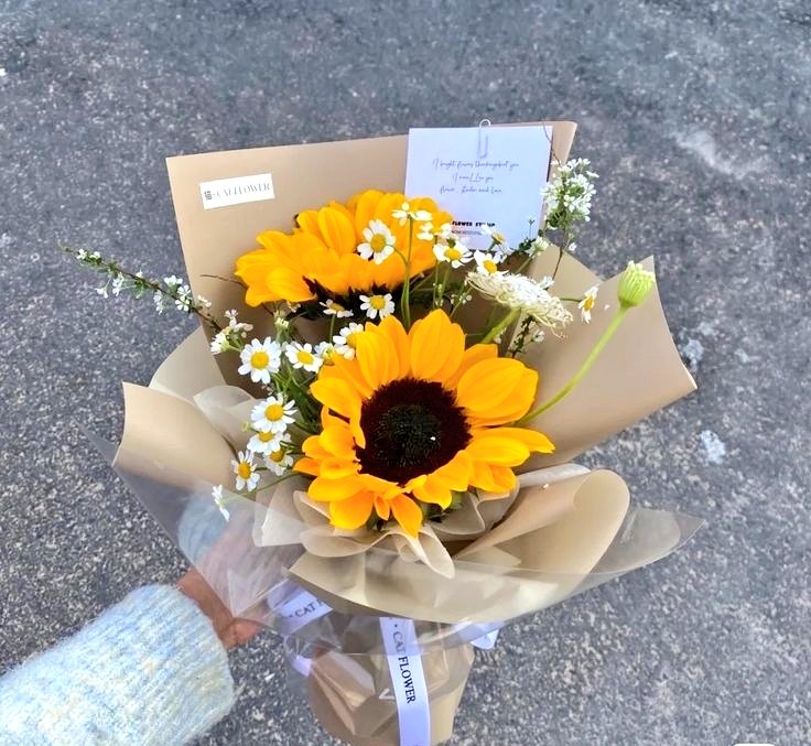sunflowerchives's tweet photo. beautiful https://t.co/VwNqYQwfaU