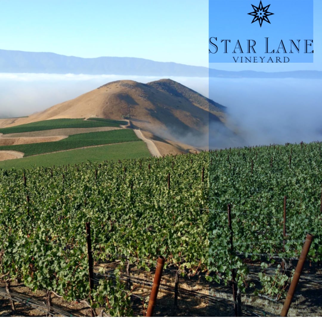 2 tickets opened up for Saturday's #StarLaneVineyard #DierburgVineyard #winemaker #winetasting Info: meetup.com/inside-wine-sa…
