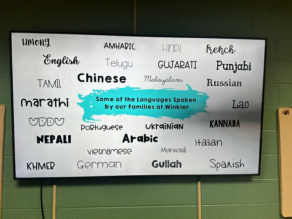 haroldwinklerms's tweet image. Our first Cultural festival was a beautiful celebration of all of the diversity that lives within our walls 🩷🌎🥳 #IBMYP #CelebrateDiversity