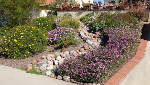 Ugly lawn contests are good for a laugh, but an eco-friendly yard can be gorgeous, drought-resistant, and low maintenance. Read more from WashingtonPost: washingtonpost.com/climate-enviro…